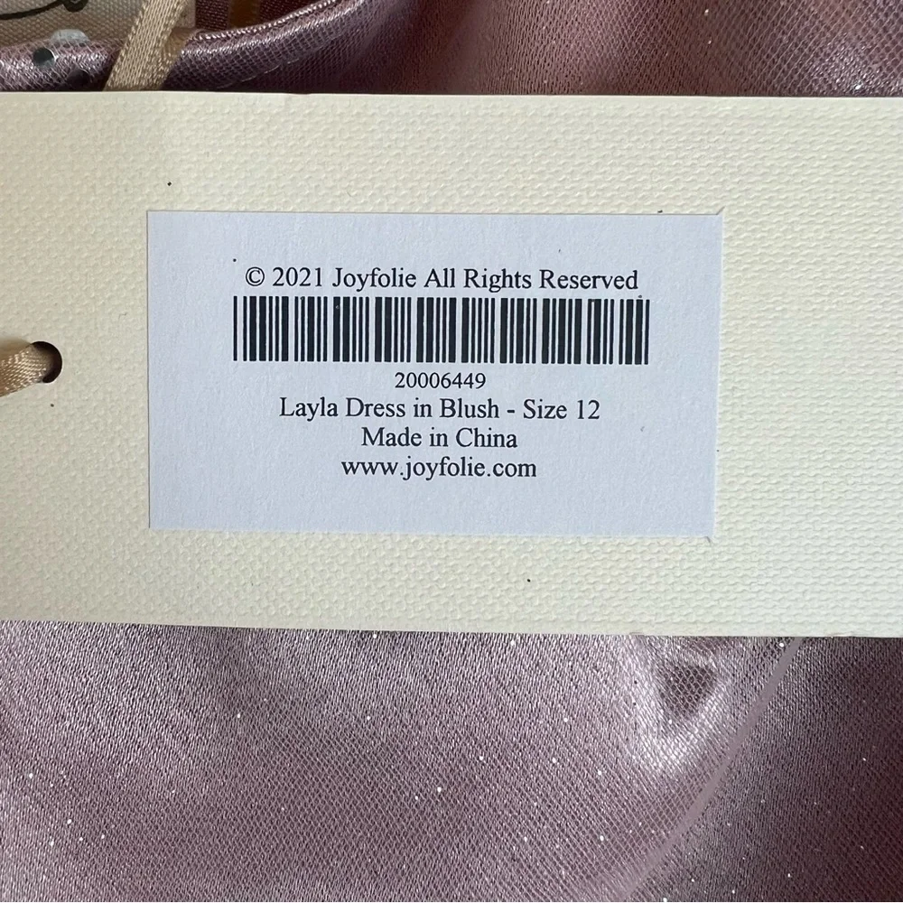 Joyfolie | Cowgirl Princess Cottagecore Fairy Floral Layla Dress Blush | 12